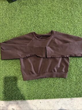 Cropped Brown Crewneck Sweatshirt